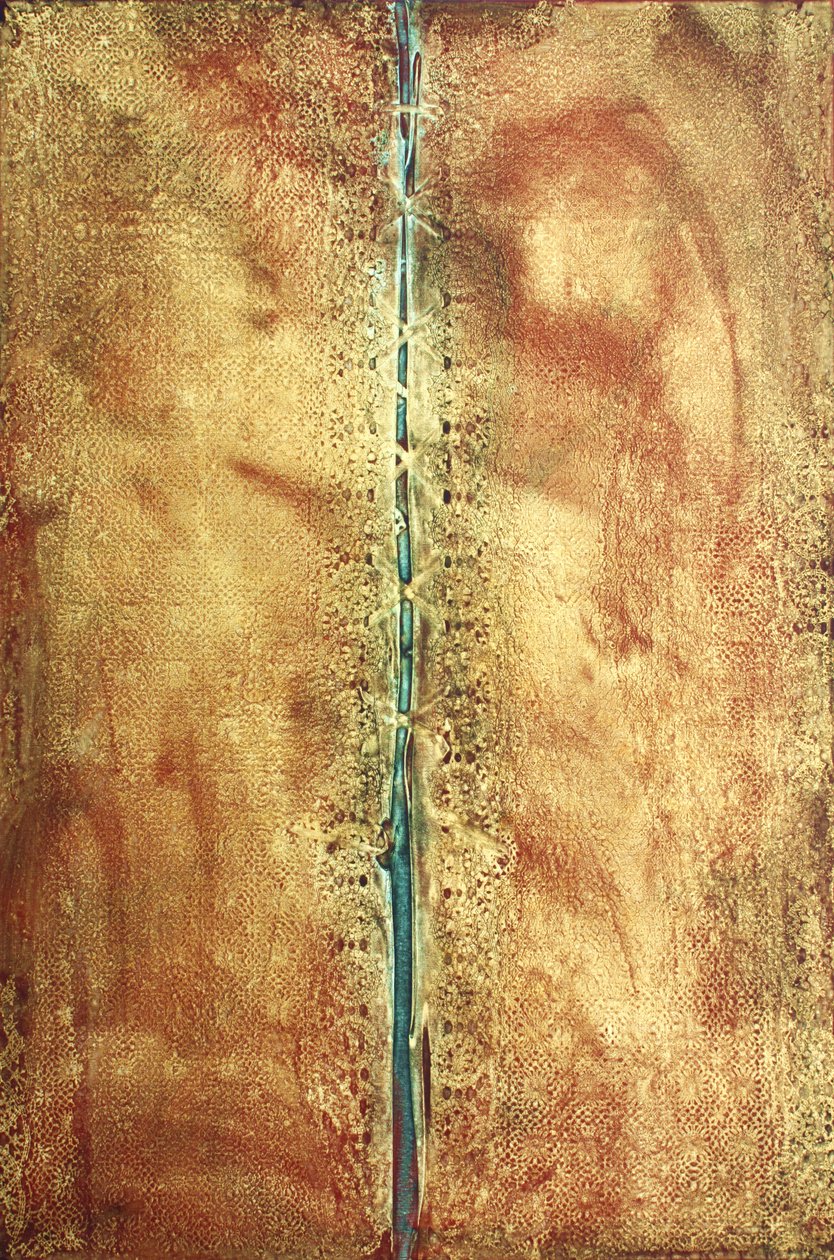 Journey 326, The Opening, 2010 (acrílico sobre tela) de Gerrit Greve