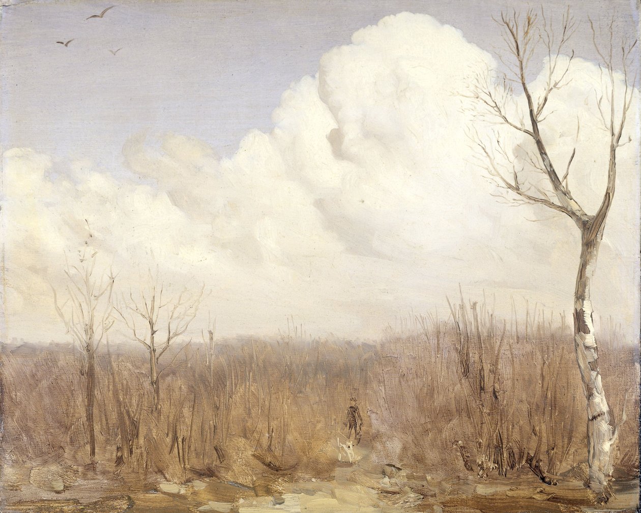  de Gerrit Willem Dijsselhof