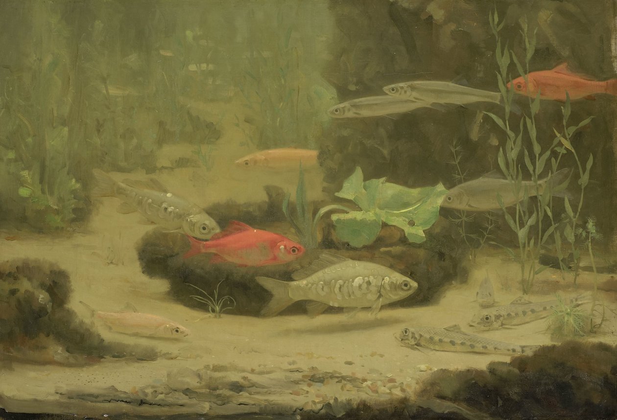 Gold- e Silverfish em um aquário de Gerrit Willem Dijsselhof