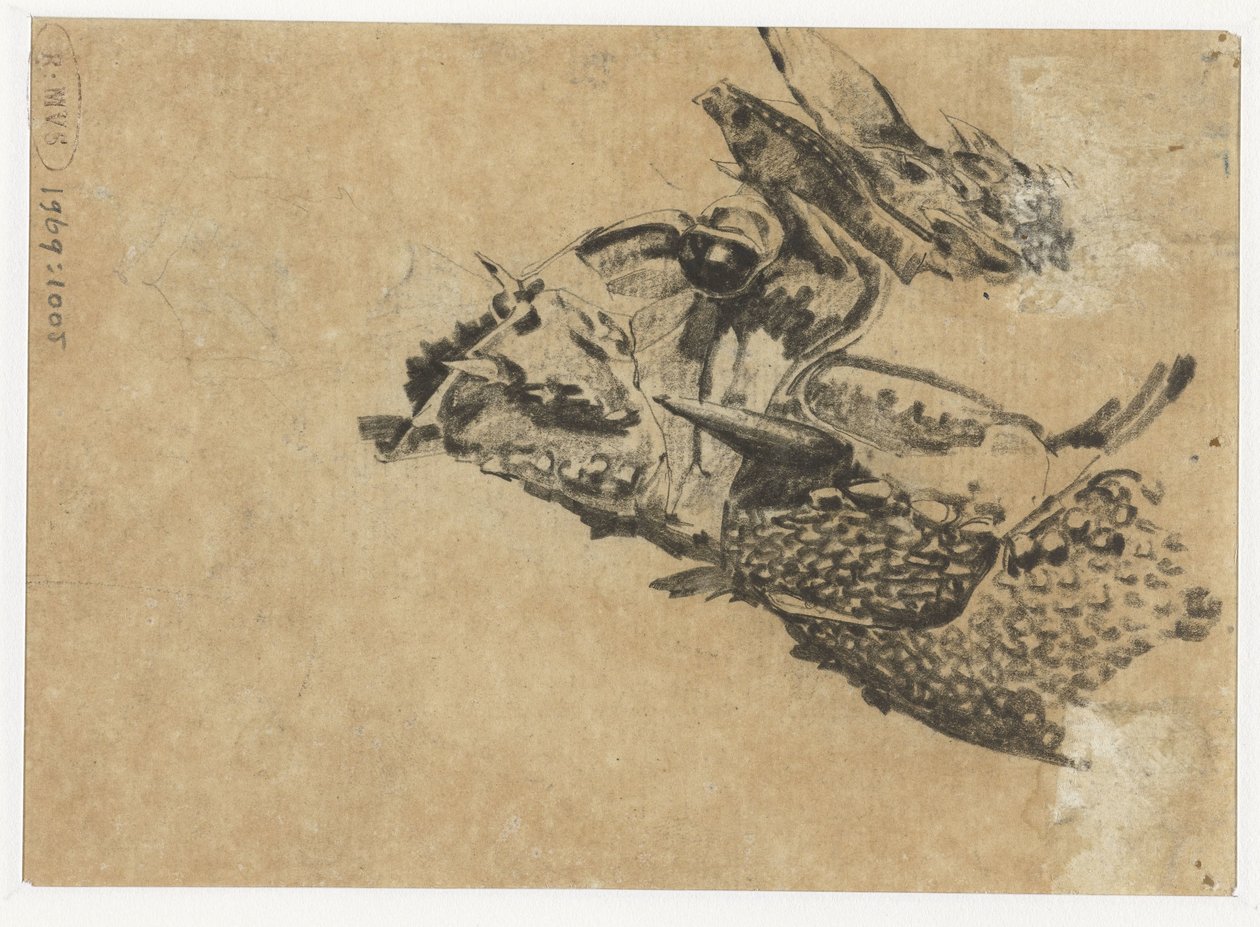 Cabeça de uma iguana de Gerrit Willem Dijsselhof
