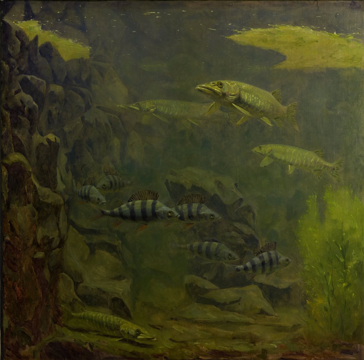Pike e poleiro em um aquário de Gerrit Willem Dijsselhof