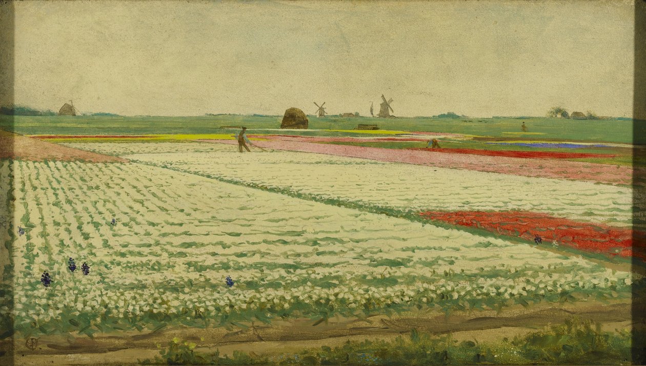 Campos de Tulipas de Gerrit Willem Dijsselhof