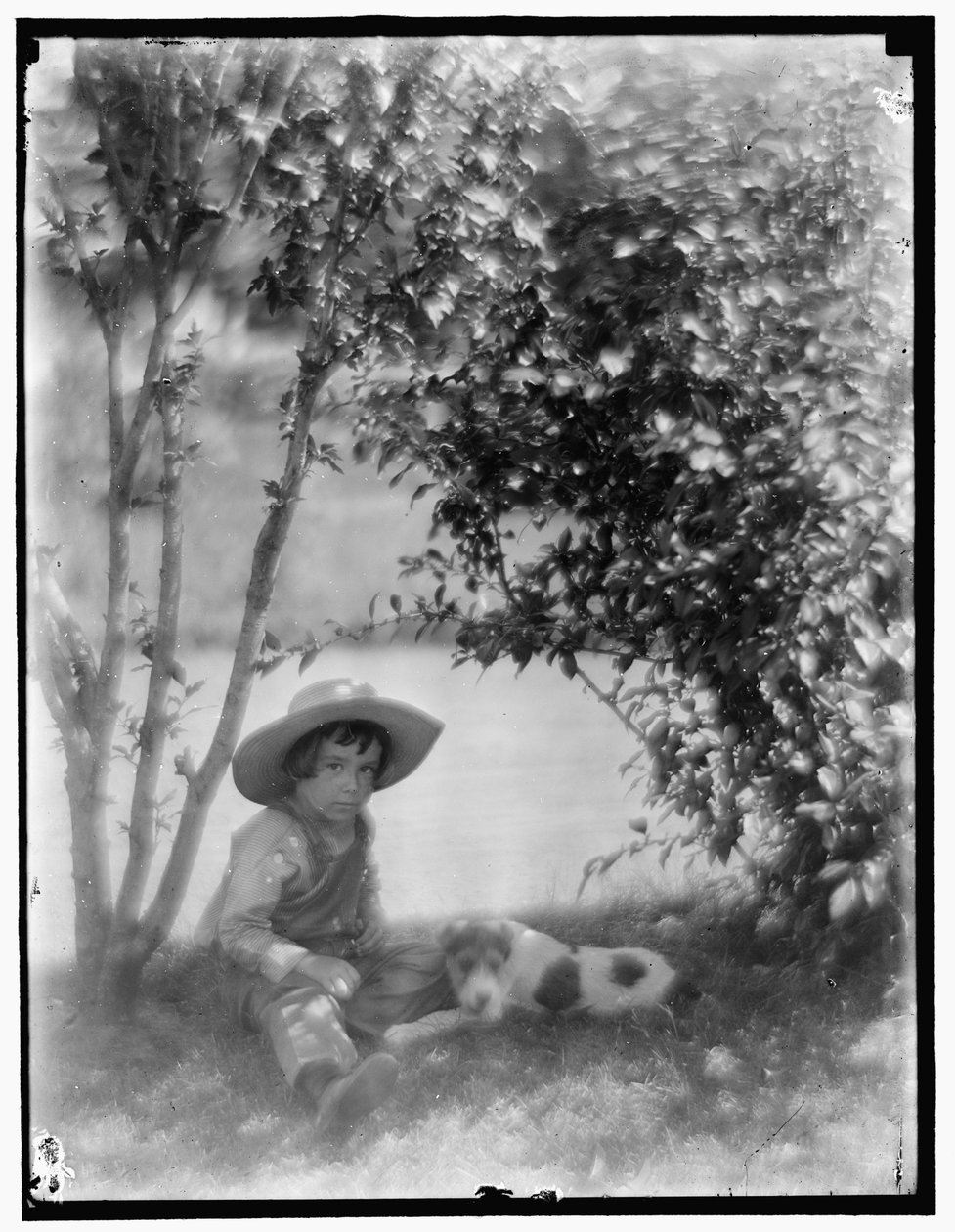 Rapaz com Cão de Gertrude Käsebier