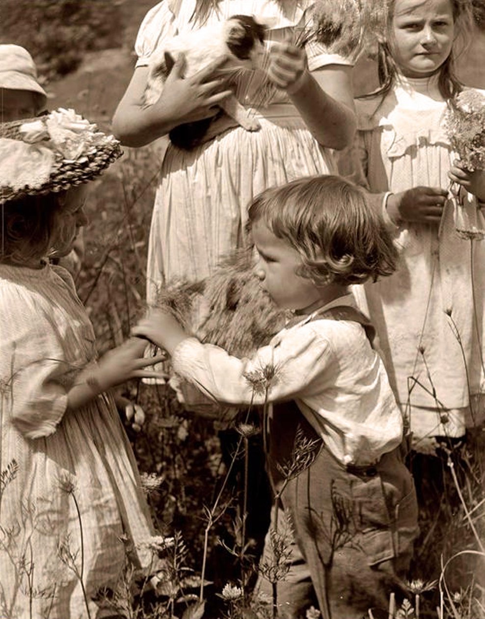 Dias Felizes 1902 Gertrude Kasebier (1852-1934). de Gertrude Käsebier