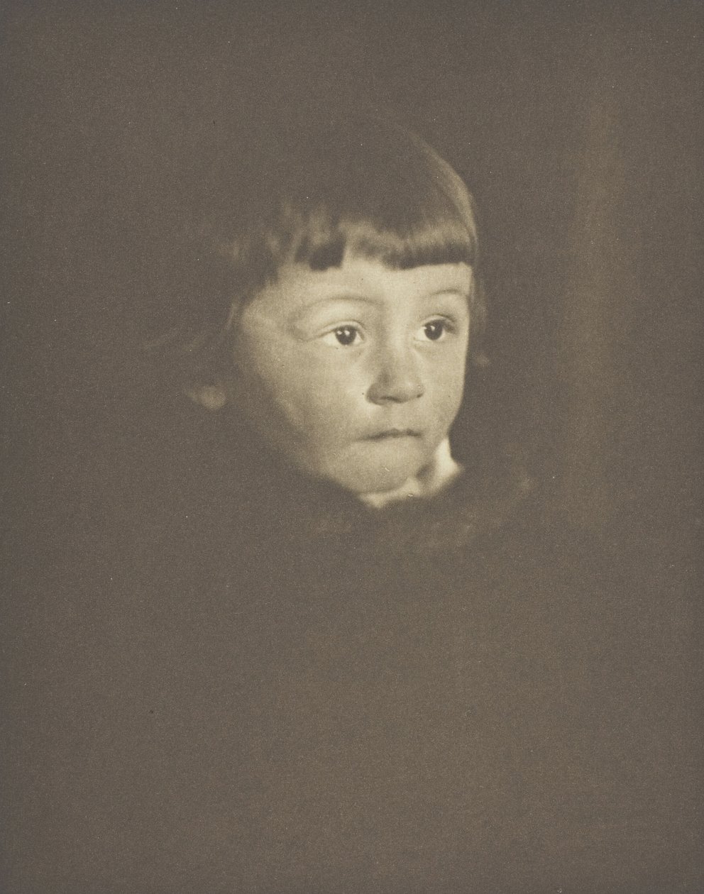 Floresta. de Gertrude Käsebier