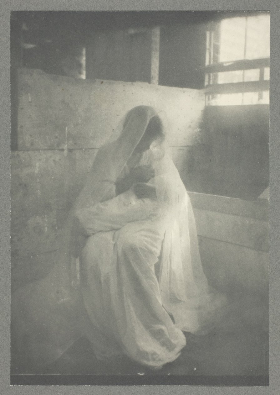 A Manjedoura de Gertrude Käsebier