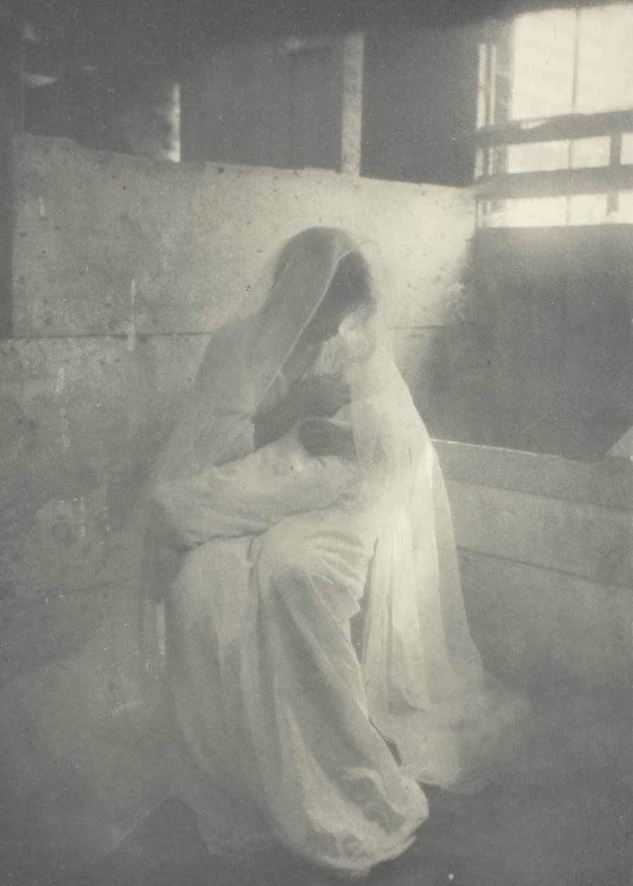 Floresta. de Gertrude Käsebier