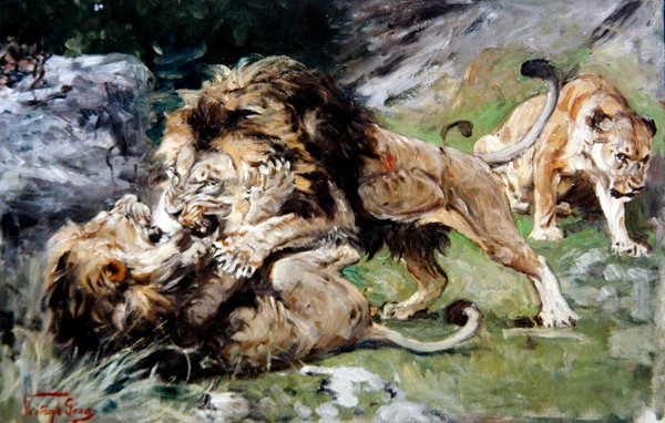 Barbary Lions Fighting, c.1890 (óleo sobre tela) de Geza Vastagh