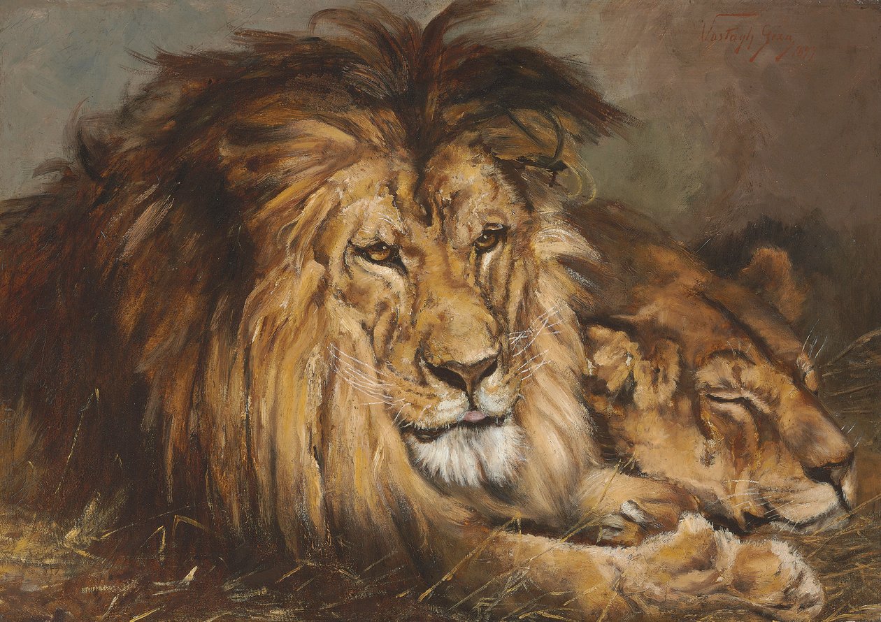 Esboço para "Leão e Leoa em repouso", 1899 de Geza Vastagh