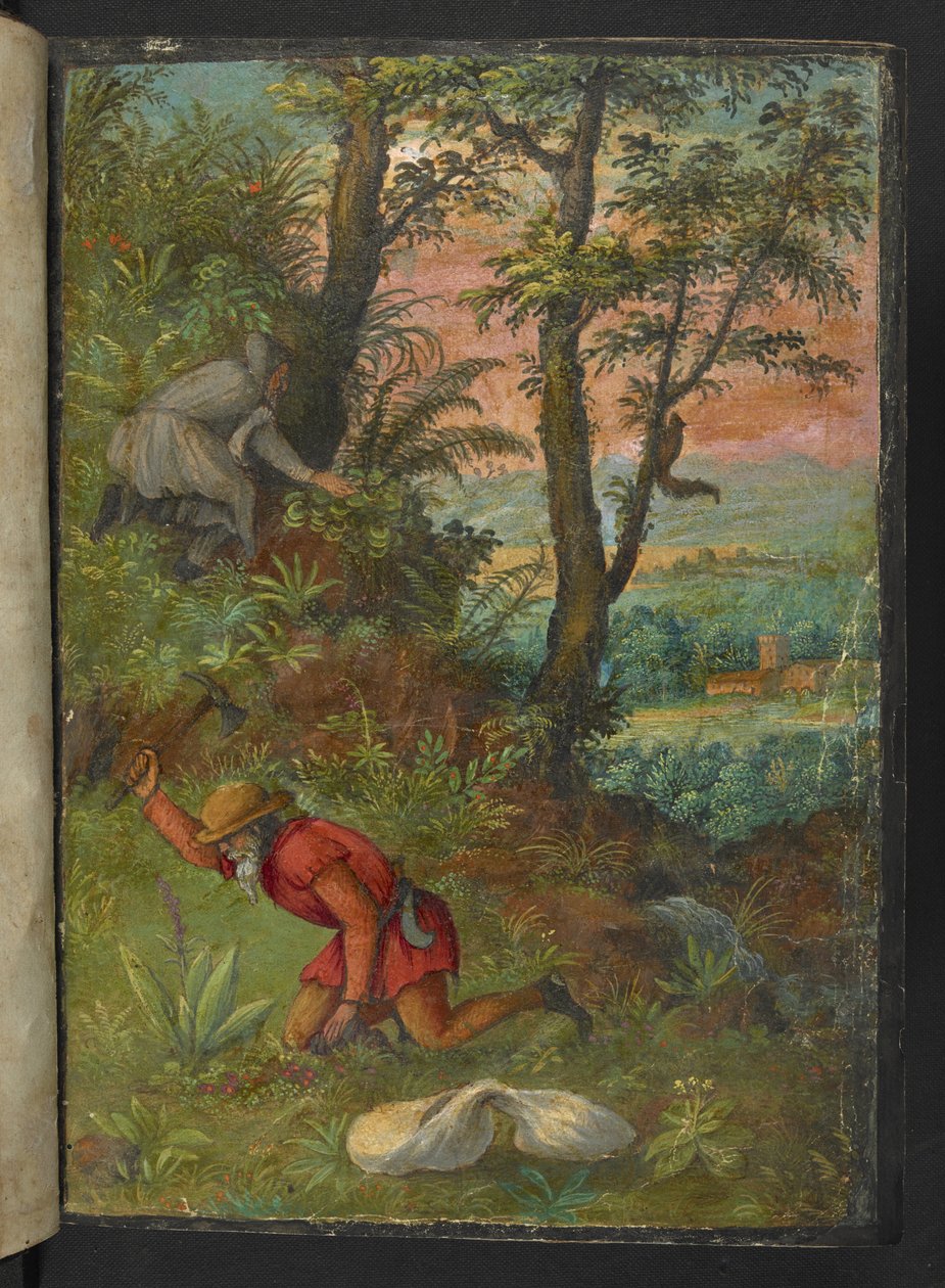 Dois homens numa área arborizada, escavando plantas, de "Pinturas da Flora dos Estados Romanos" de Gherardo Cibo, Add MS 22333, f003r, c.1564-84 (aguarela e guache sobre papel) de Gherardo Cibo