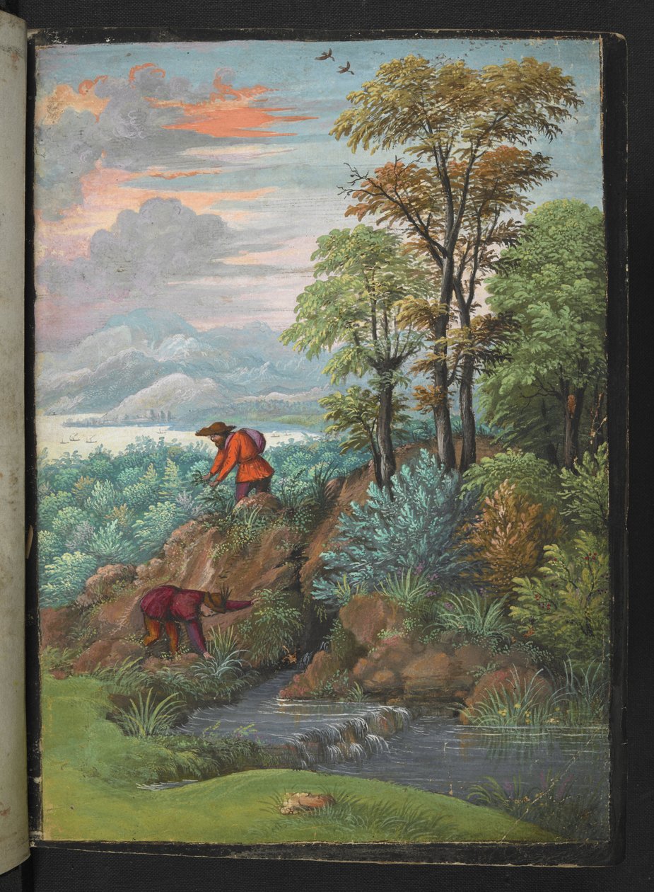 Dois homens à procura de plantas numa zona arborizada, de "Pinturas da Flora dos Estados Romanos" de Gherardo Cibo, Add MS 22333, f006r, c.1564-84 (aguarela e guache sobre papel) de Gherardo Cibo