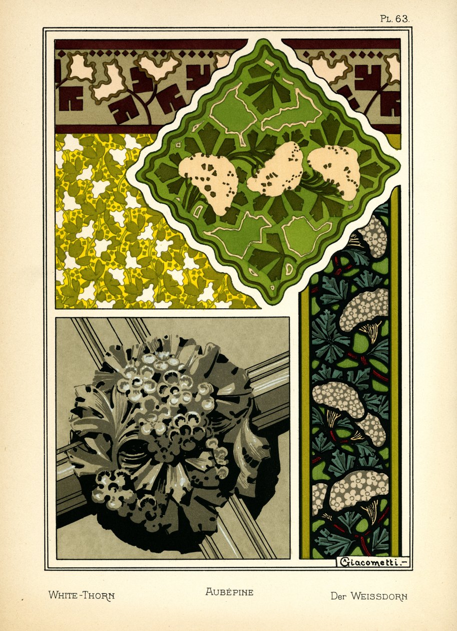 O Whitethorn de Giovanni Giacometti