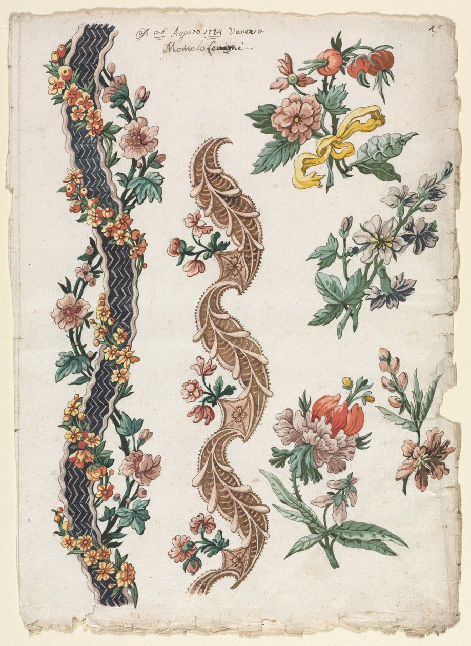Desenhos florais e bandas florais de Giacomo Cavenezia