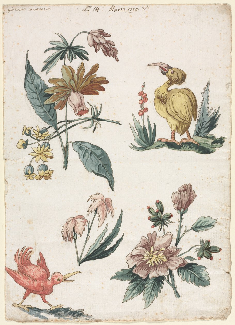 Desenhos florais com dois pássaros de Giacomo Cavenezia
