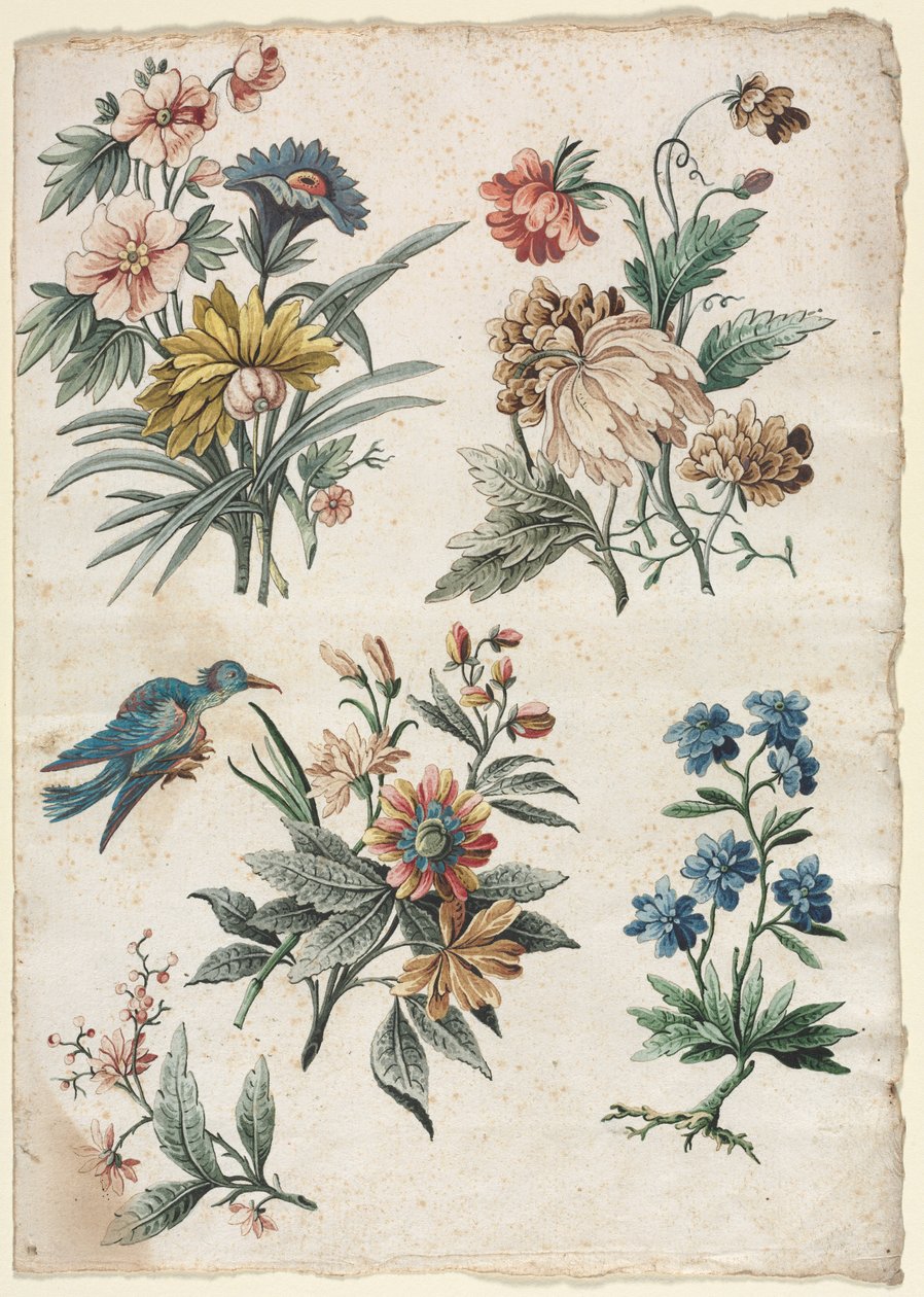 Desenhos florais com um pássaro azul de Giacomo Cavenezia
