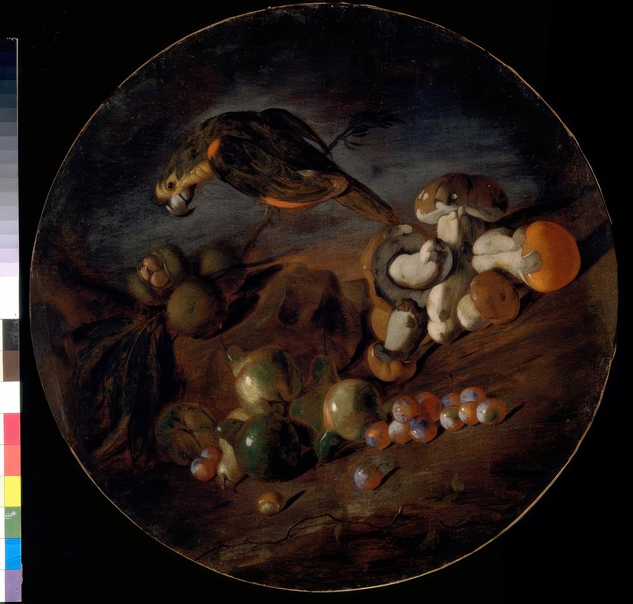 Natureza morta com cogumelos, frutas e papagaio de Giacomo Fardella de Calvello