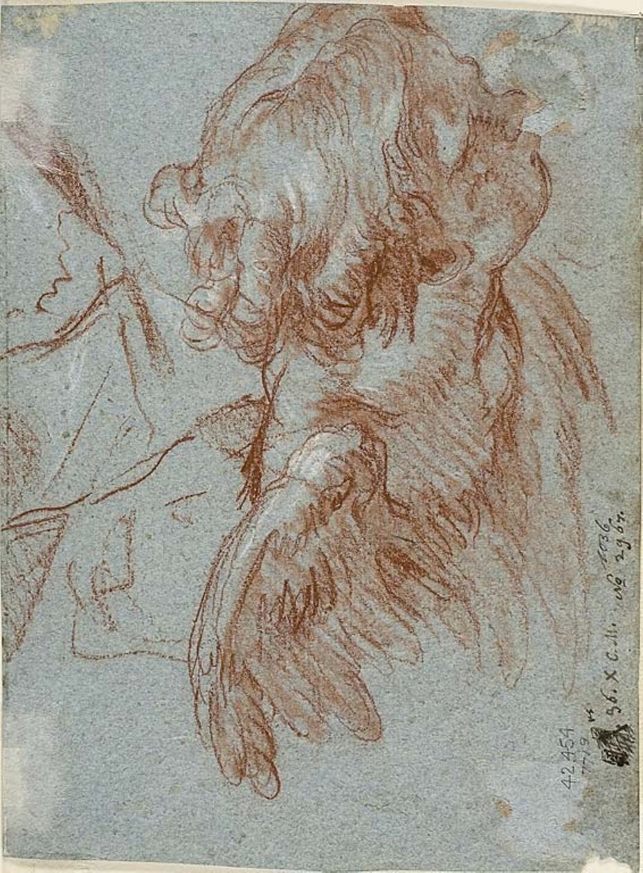 Estudo para Detalhe: Cabeça de um Querubim de Giambattista Tiepolo