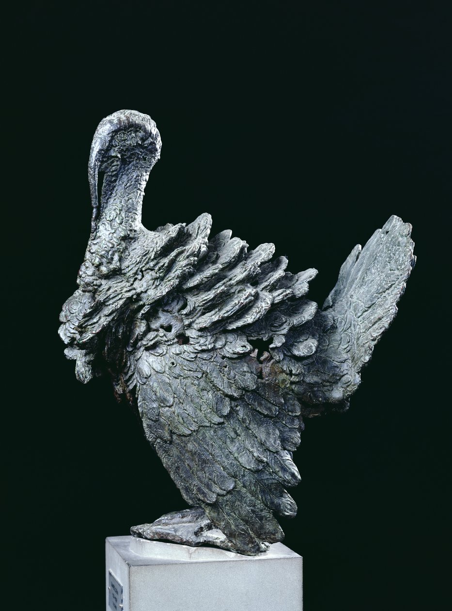 Turquia (bronze) de Giambologna