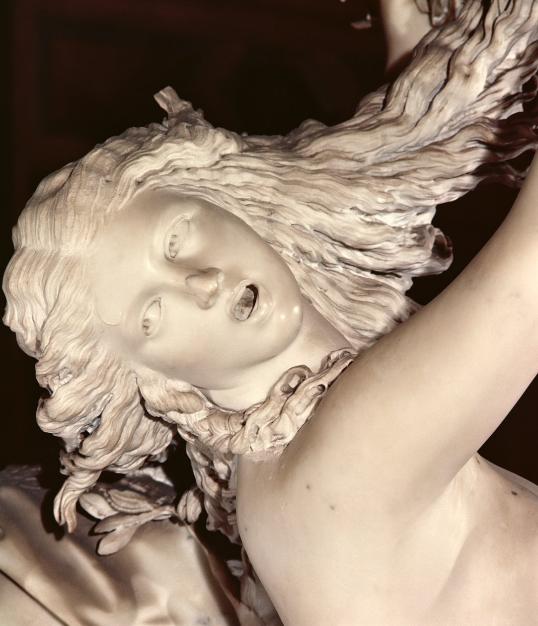 Apolo e Daphne, detalhe da cabeça de Daphnes, mármore 1622-25 de Gian Lorenzo Bernini