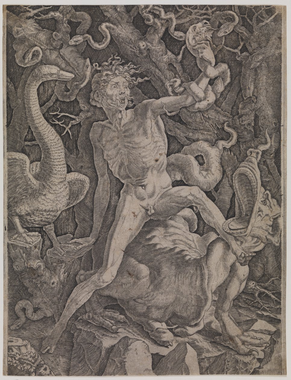 Alegoria da raiva de Gian Jacopo Caraglio
