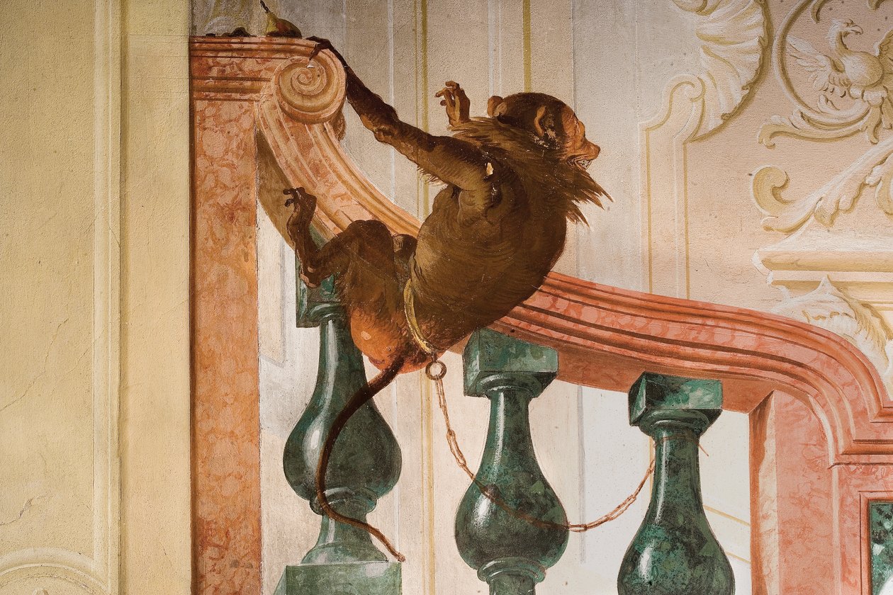 Detalhe do Macaco, da Sala de Cenas de Carnaval na Foresteria de Giovanni Domenico Tiepolo