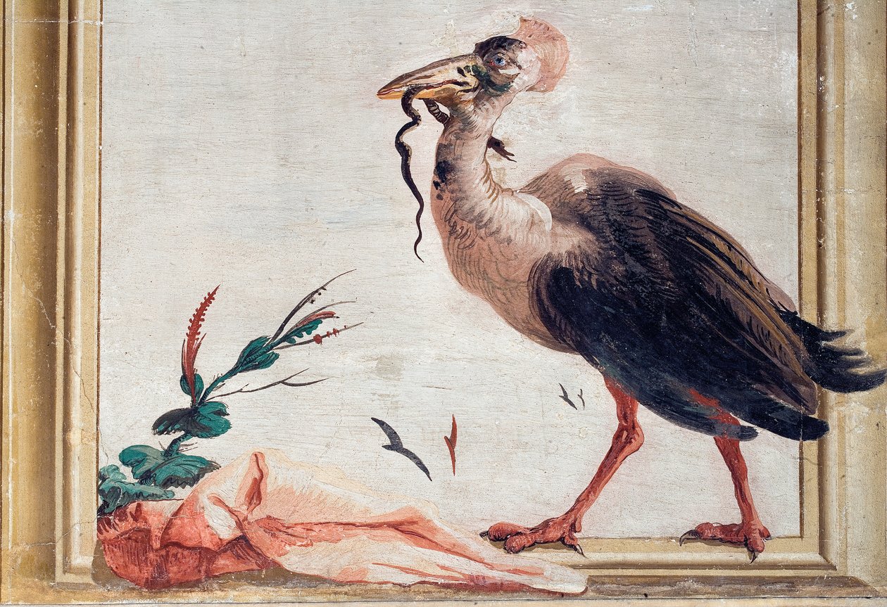 Um Cassowary Segurando uma Cobra em Seu Bico, da Sala Chinesa na Foresteria, 1757 de Giovanni Domenico Tiepolo