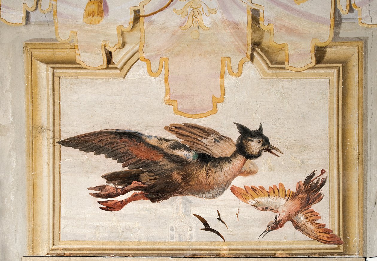 Um par de pássaros exóticos, da sala chinesa na Foresteria, 1757 de Giovanni Domenico Tiepolo