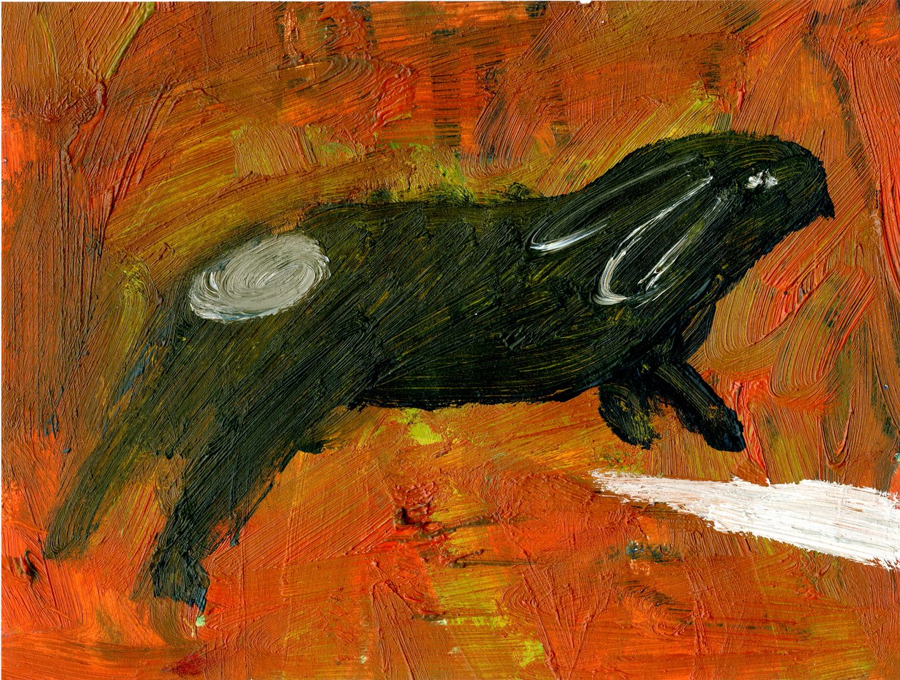 Coelho, 2005, (óleo sobre papel) de Gigi Sudbury