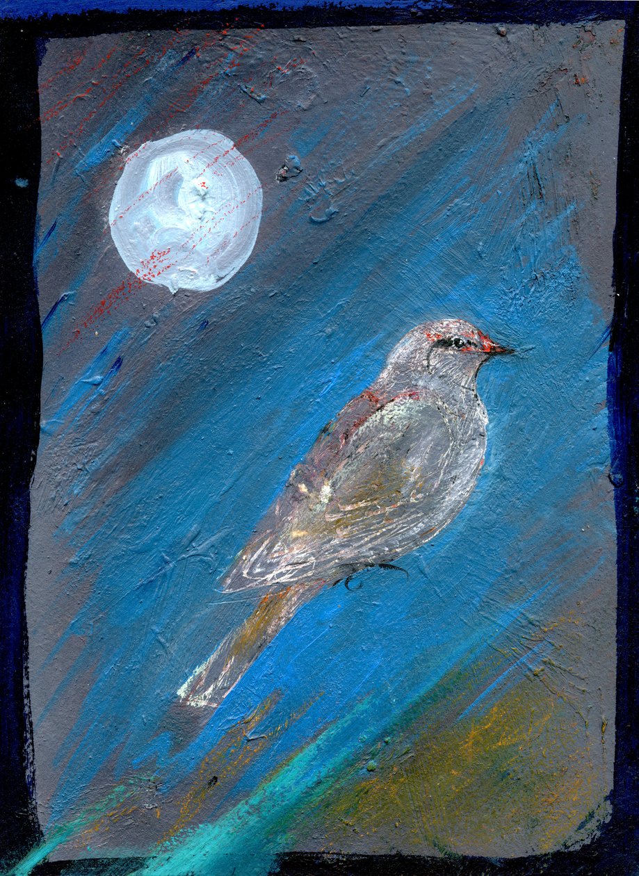 Pássaro da Lua, 2016, (óleo sobre papel) de Gigi Sudbury