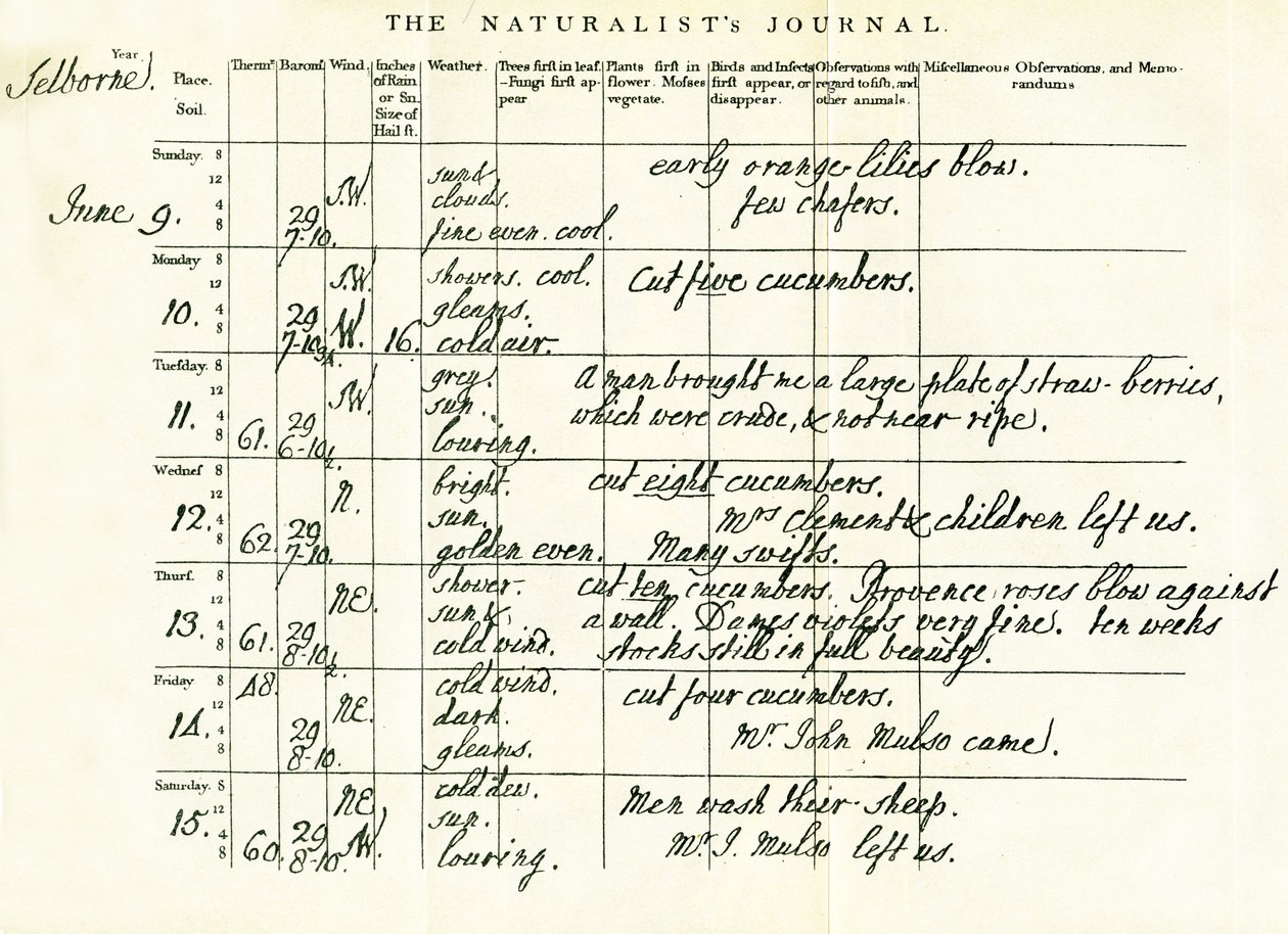 Última página preenchida do Gilbert Whites Naturalists Journal, 9 a 15 de junho de 1793 de Gilbert White