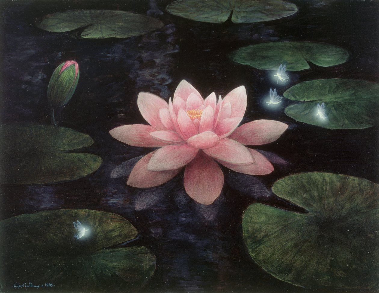 Sprites de lótus de Gilbert Williams