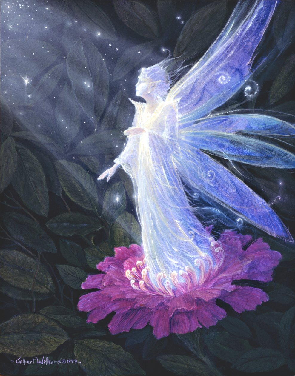 Os mundos ocultos de Gilbert Williams