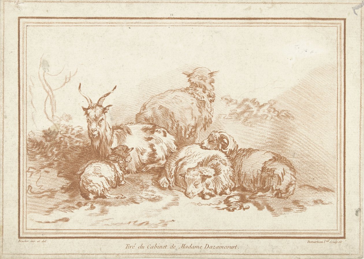 Reclinagem de ovelhas e cabras de Gilles Demarteau