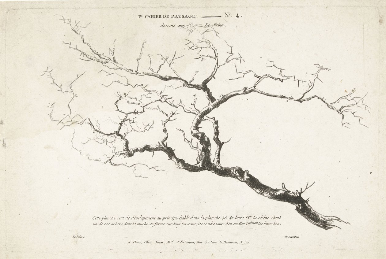 Estudo de galho de árvore nu 1er Cahier de paysage (título da série) de Gilles Demarteau