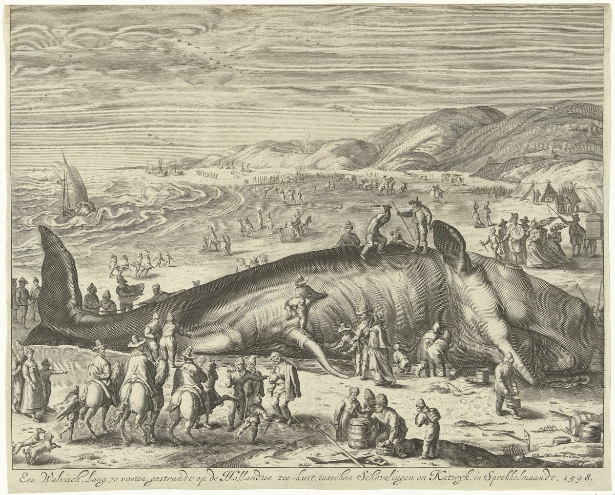 Baleia encalhada perto de Berckhey, 1598
Uma baleia com 70 pés de comprimento, encalhada na costa marítima holandesa, entre Schevelingen e Katwyk, em Sprokkelmaandt, 1598 (título sobre o objecto) de Gilliam van der Gouwen