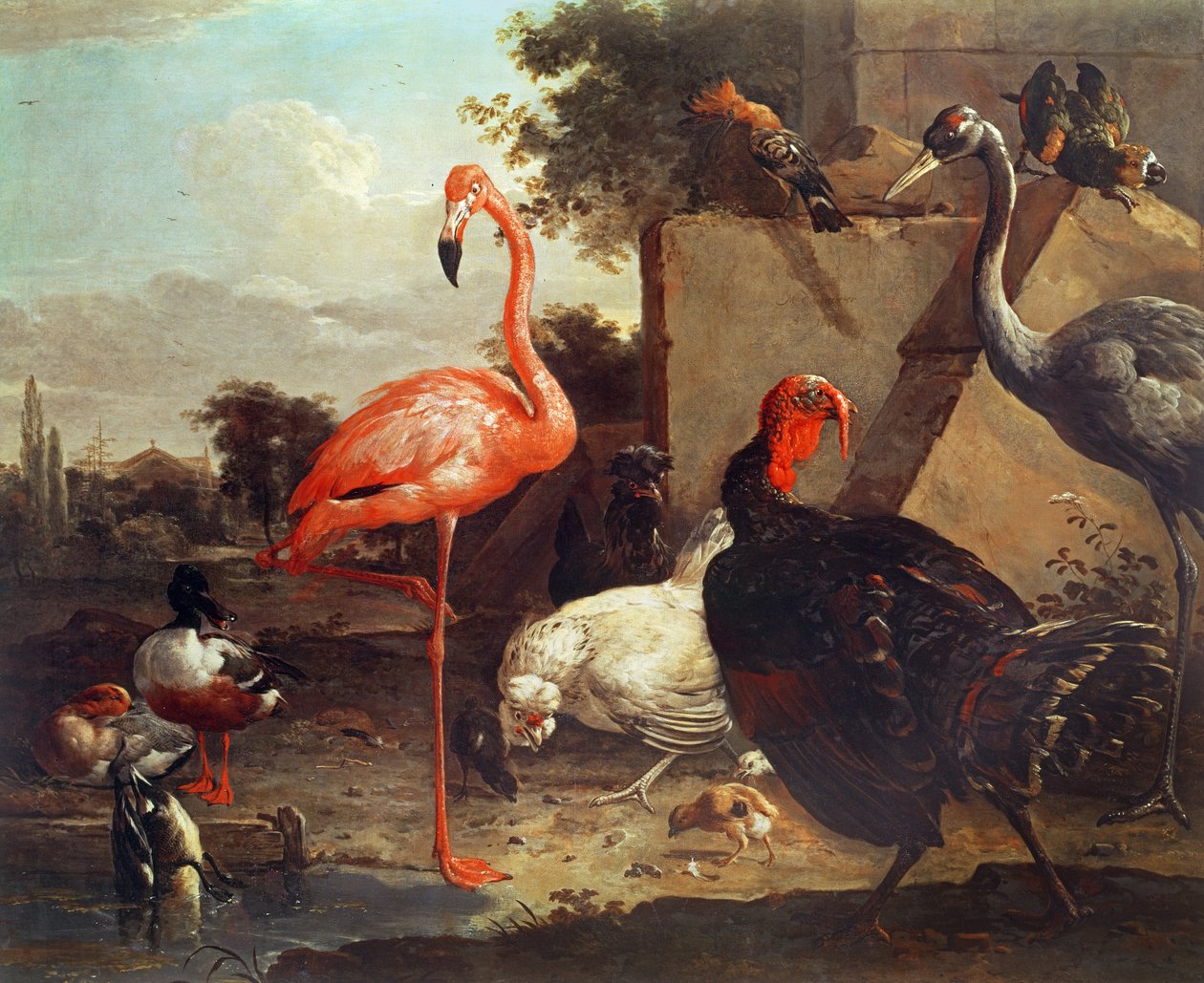 Vários pássaros de Gillis Claesz d