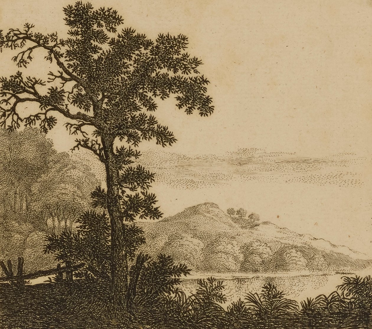 Paisagem de Gillis Neyts