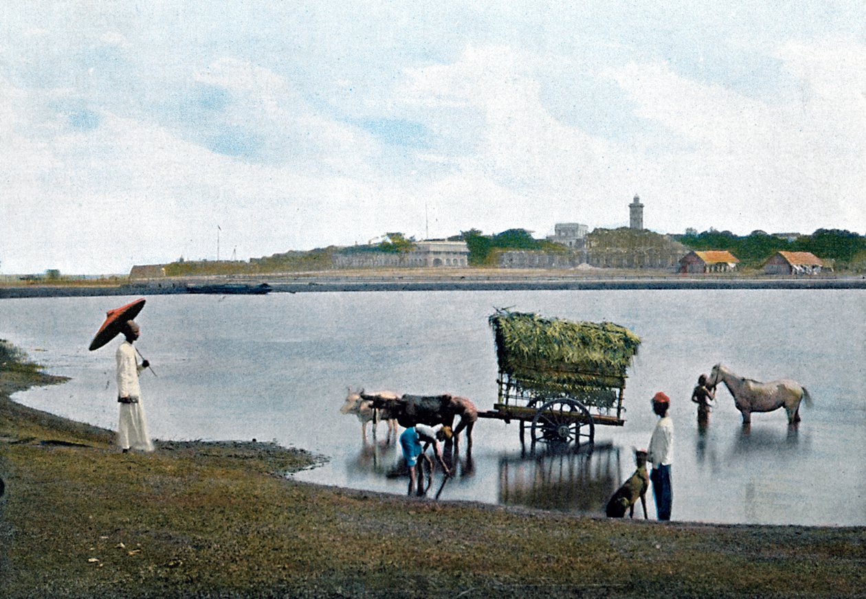 Colombo, Ceilão, c1890 de Gillot