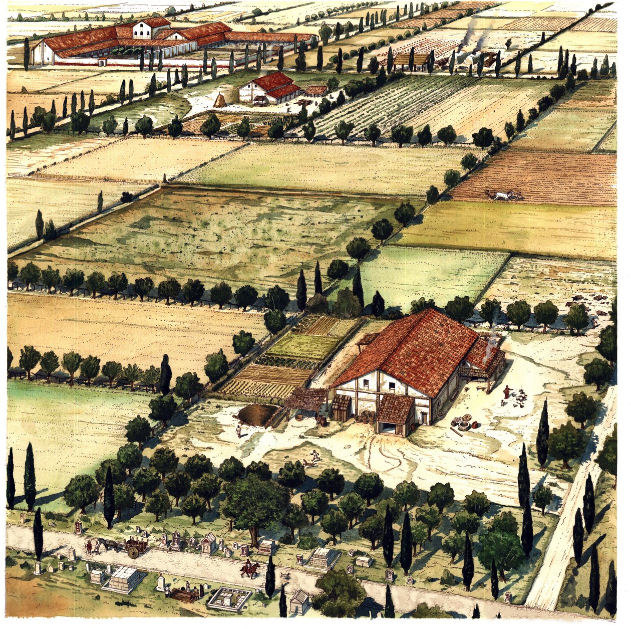 Roma Antiga: reconstrução de um plano de ordenamento do território conhecido como "Centuriação Romana", destinado a esculpir geometricamente um território agrícola nas colónias, segundo as unidades (ou séculos) romanas, Itália de Giorgio Albertini