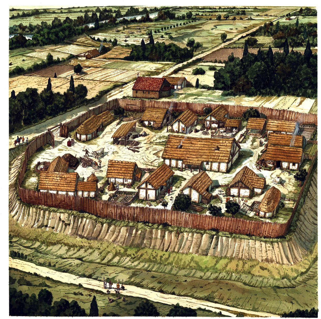 Idade Média: reconstrução de um Motte (ilustração) de Giorgio Albertini