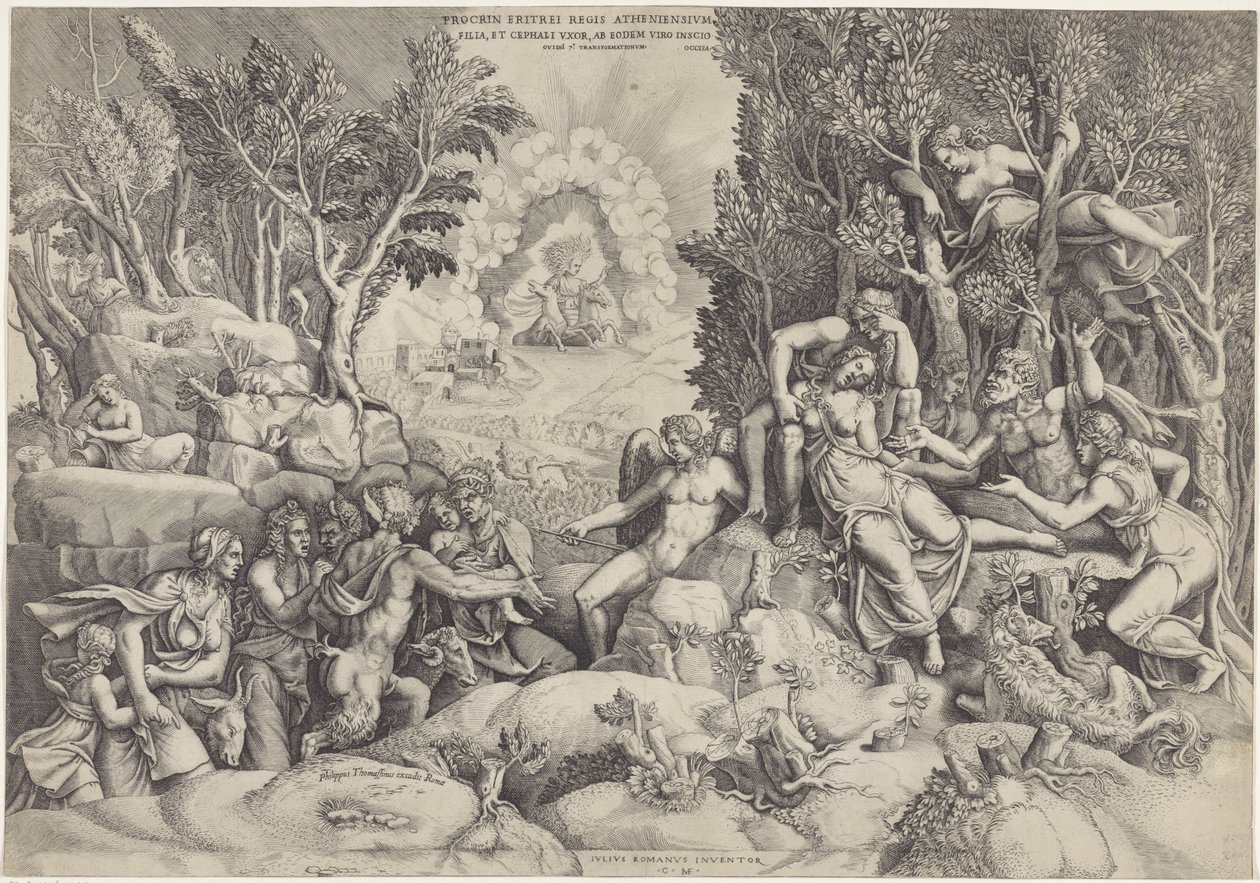 Cephalus en de Bosgoden beweenen de dood van Procris Prócrino do rei de Atenas / Filha e esposa de Céfalo, pelo mesmo marido sem saber (título no objeto) de Giorgio Ghisi