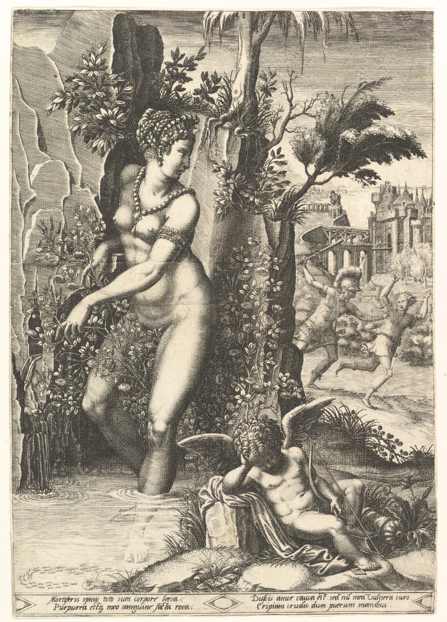 Vênus picado pelos espinhos em uma roseira, no fundo Marte perseguindo Adonis, em ..., 1556. de Giorgio Ghisi