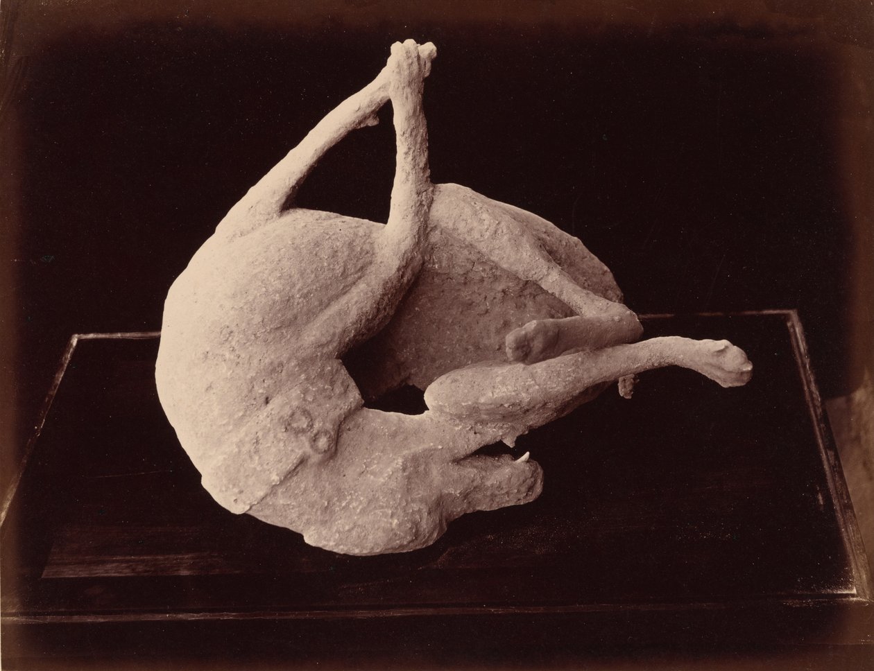 Elenco, Pompeia, c. 1870 (foto) de Giorgio Sommer