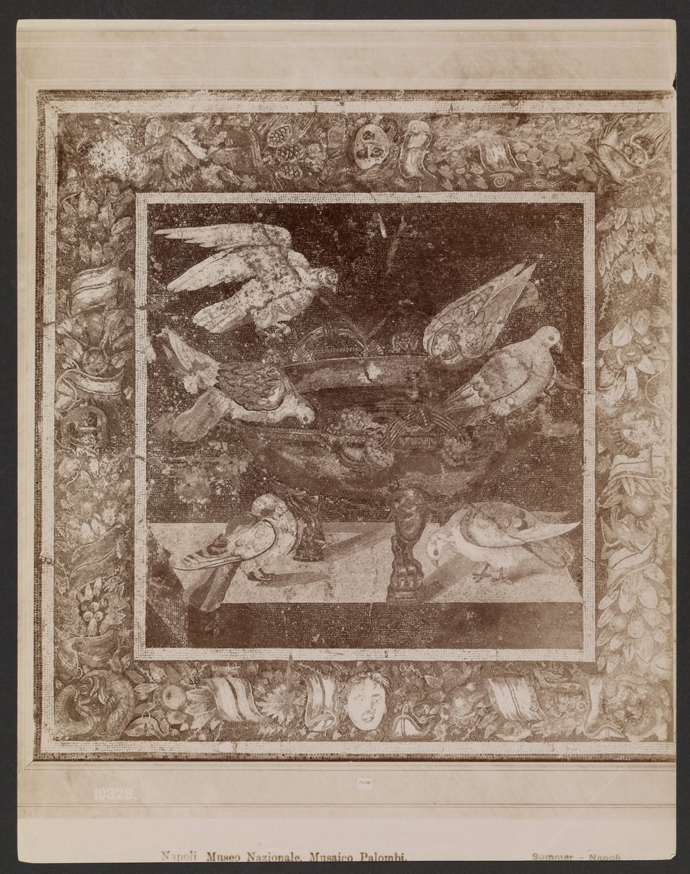 Mosaico de Palombi, Museu Nacional de Nápoles de Giorgio Sommer