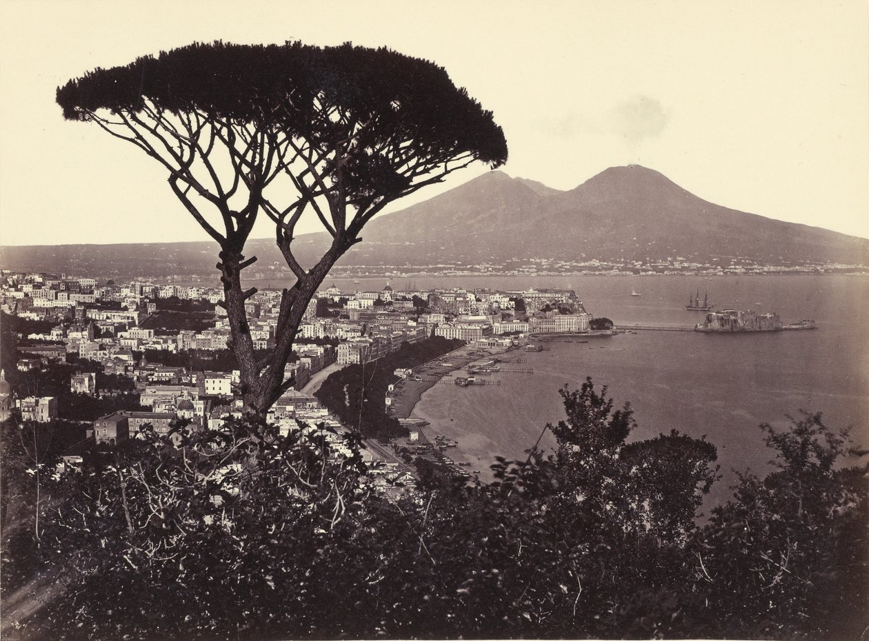 Panorama do Vomero com pinheiro de Giorgio Sommer