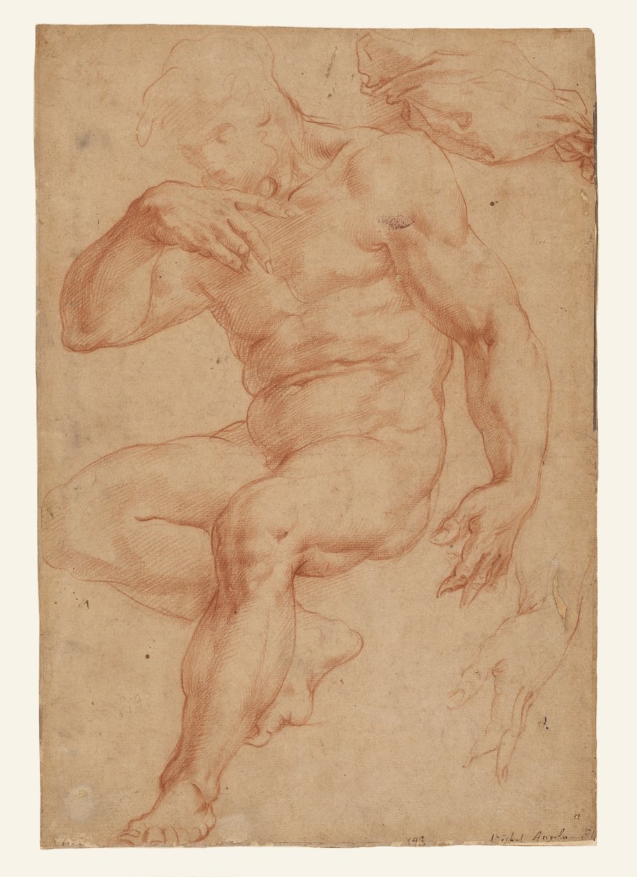 Studien eines männlichen Aktes, eines Gewandes und einer Hand de Giorgio Vasari