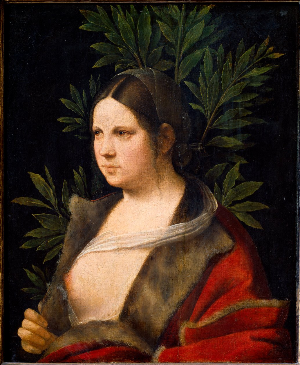 Retrato de Laure de Giorgione