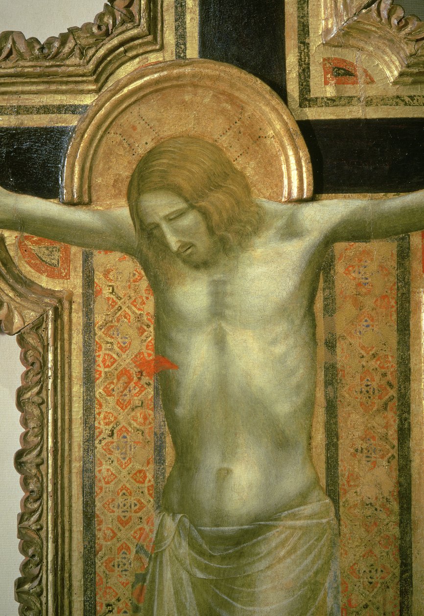 Crucifixo, detalhe de Cristo, 1317 têmpera no painel de Giotto di Bondone