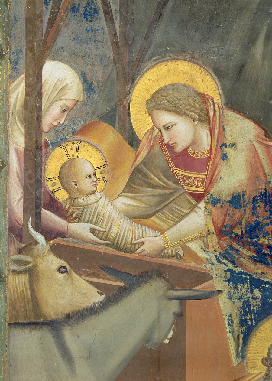A Natividade, c.1305 (fresco) (pormenor de 65197) de Giotto (c.1266 1337)