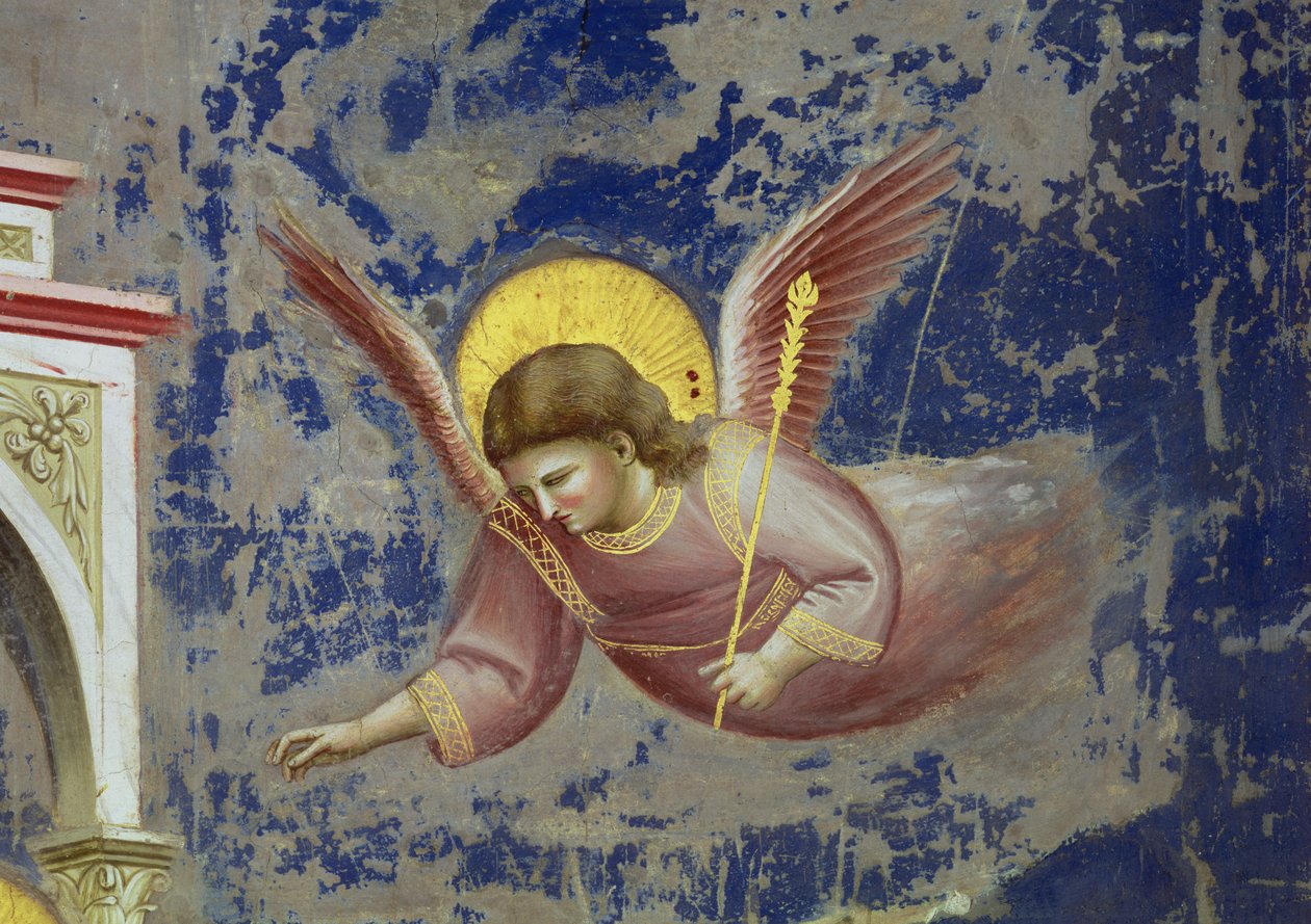 Anjo, da Apresentação de Cristo no Templo, c.1305 (fresco) (pormenor de 65195) de Giotto (c.1266 1337)